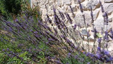 L'ancienne école de Sainte-Marguerite - Foto 4