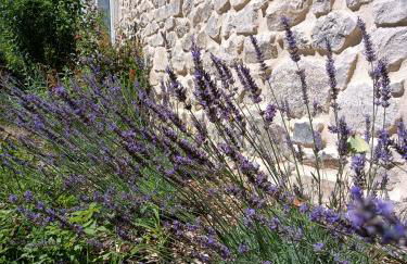 L'ancienne école de Sainte-Marguerite - Foto 4