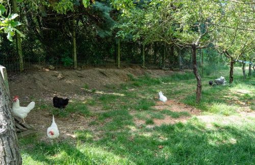 Agriturismo Val della Pieve - Foto 42