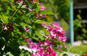 Dream in Chalkidiki 2 bedroom villa with garden - Foto 74