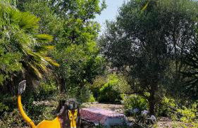 Dona Maria 66 - Foto 36