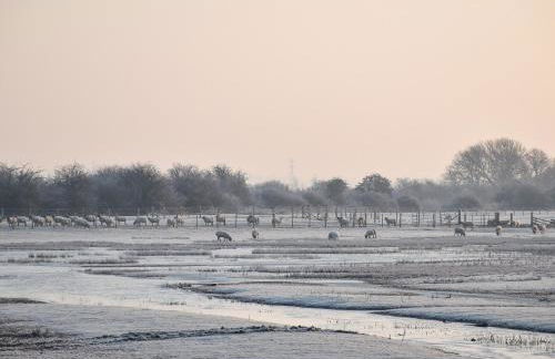 Sheep's View Cottage - Foto 33