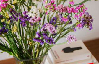 Apartment near the beach and Port Marina of Premia - Foto 29