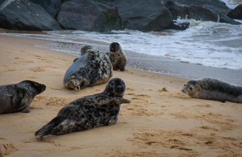 Lovely Chalet To Hire In Scratby Nearby The Beach In Norfolk Ref 76165B - Foto 3