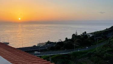 Penthouse Palmeira - Foto 3