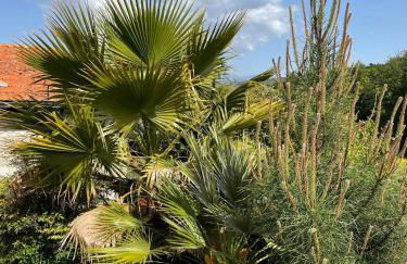 Quinta do Cobral - Foto 18