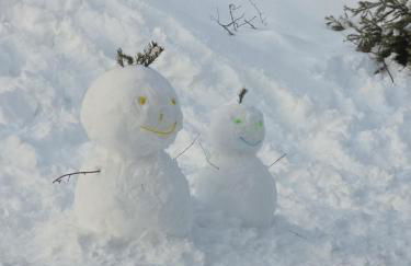 Vertu'Ose avec jacuzzi - Foto 8