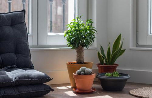 IDEAL & SOLEADO duplex con jardín - Foto 26