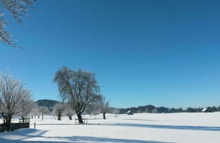 Herzberger Ferienwohnungen - Foto 22