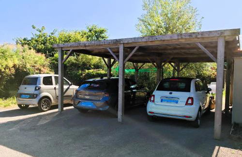 Les Agapanthes d Elisabeth - Piscine - Foto 20