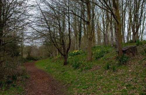 Mulberry Cottage - Photo 19