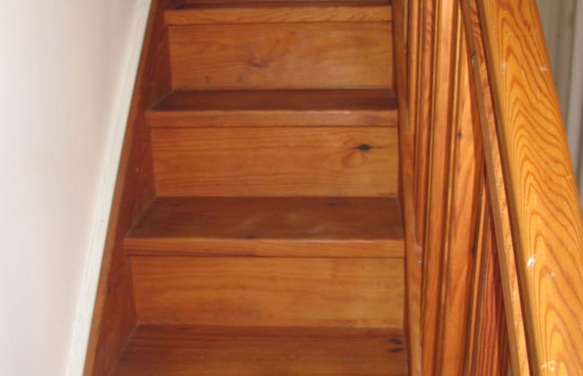 Petite Cigale - Foto 19