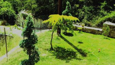 ΕΚΑLI ROOMS APARTMENTS - Foto 3