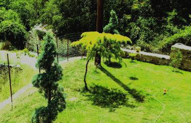 ΕΚΑLI ROOMS APARTMENTS - Foto 3