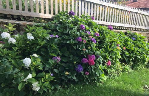 Ferienwohnungen Jonuscheit - Foto 20