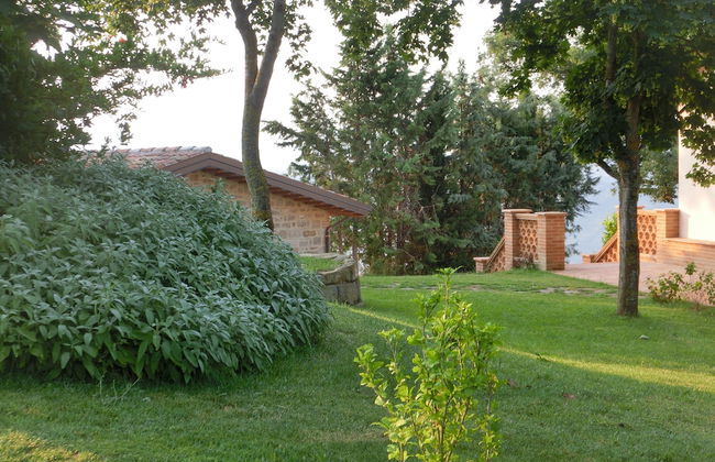 Agriturismo Il Beccafico Alpaca - Foto 23