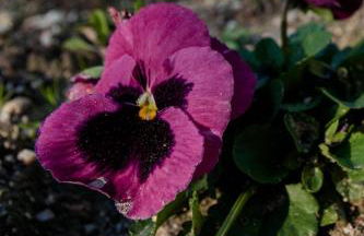 Casa Ponte da Vessada - Foto 53