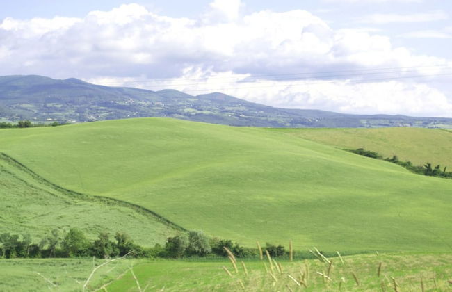 Residence Giuly Rosselmini - Foto 44