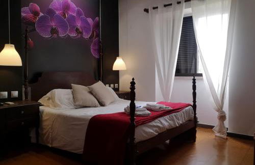 Zen Guest House - Museu do Bonsai - Foto 25