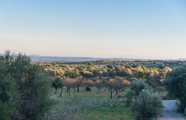 Can Furios Hotel by Can Calco Hotels - Foto 133