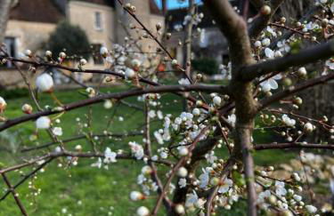 Manoir de La Barre Ceton - Foto 48