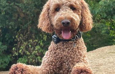 The Meeting House - Atmospheric 16th Century Merchants House - Foto 31