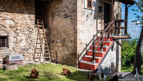 Il Rifugio del Cacciatore / The Hunter's Shelter - Foto 5