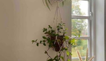 Linnet House - Relaxing - Leafy - Whole Apt- 2 Bed - Foto 5