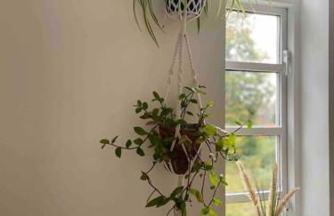 Linnet House - Relaxing - Leafy - Whole Apt- 2 Bed - Foto 5