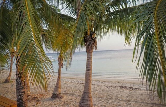 Posada Seremein - Foto 44