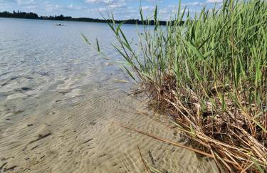 Zielony Domek w Nartach - Mazury - Photo 16