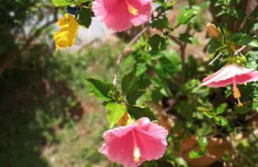 CASA COM SPA DE HIDRO, AQUECEDOR E CROMOTERAPIA A 1,0 kM DO CENTRO - Foto 30