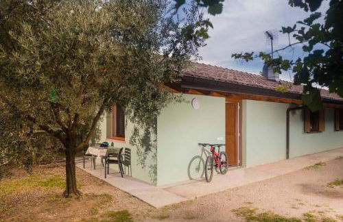 Agriturismo Sarca House - Foto 4