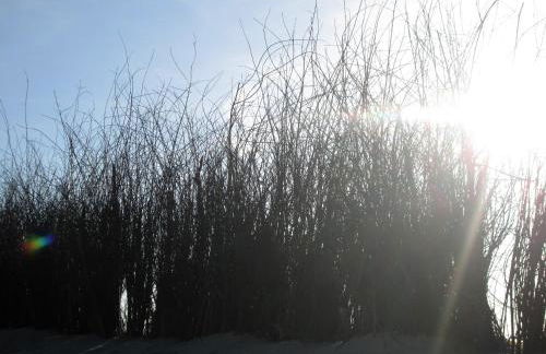 Ferienhaus Kolibri, exklusiv und familiär in Neßmersiel mit Anbindung nach Baltrum - Foto 12