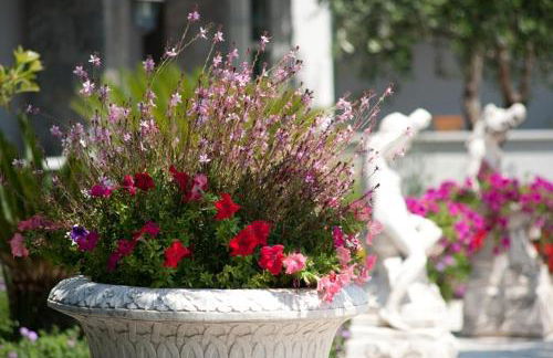 Residence Le Vigne - Foto 13