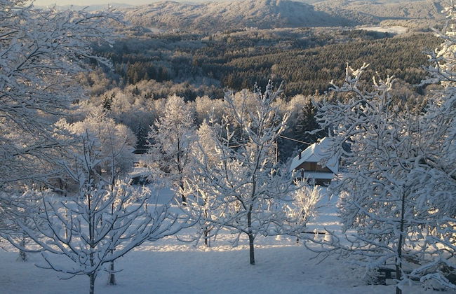 Vineyard cottage Pod piramido - Foto 26