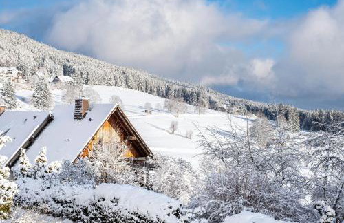 Haus Doktor Saeltzer - Foto 15