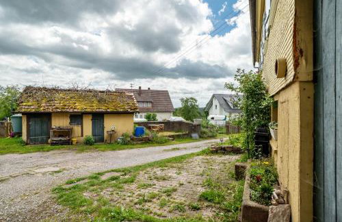 Schwarzwald Ruhe - Photo 14