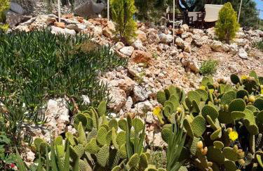 Katerina's House - Foto 49