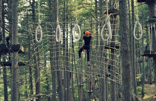 Agriturismo Colle Tripio - Foto 17