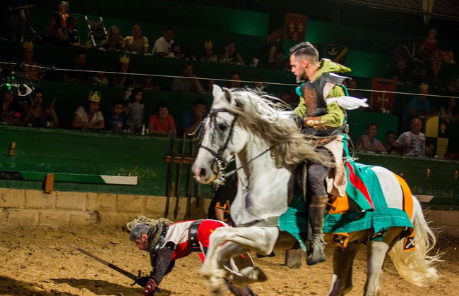 Cena con espectáculo en Magic Robin Hood - Foto 5