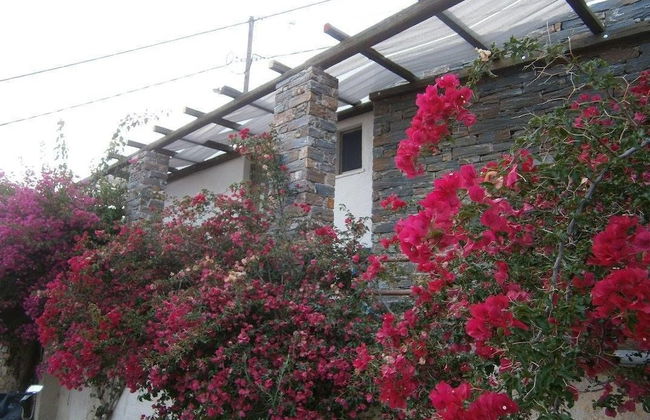 Elea Koundouros - Foto 17