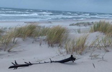 Your Private Hytte - Foto 28