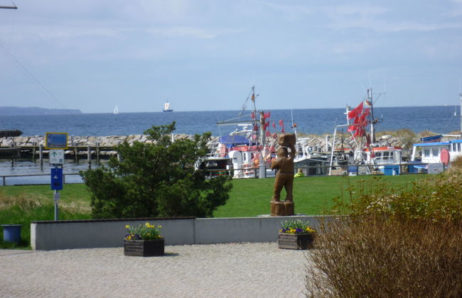 Gollwitzer Park (Insel Poel) - Foto 21