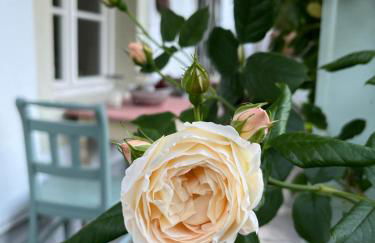 Ferienwohnung Gartenglück - Foto 45