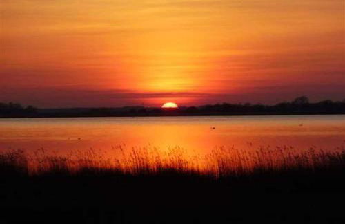 Ferienhaus Boddenblick und Kranich - Photo 33