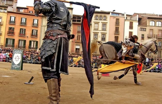 Casa rural La Bardena Blanca II - Foto 46