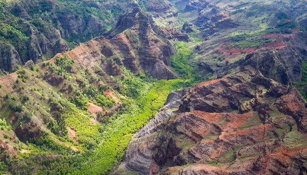 Kauai Day Trip - Photo 2