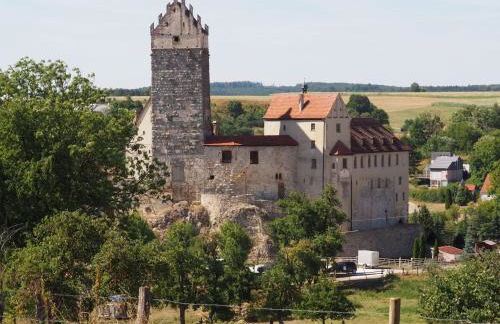 Ferienwohnung Pension Waldblick - Foto 67