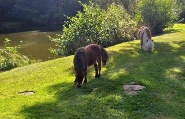 Le Grand Chalet - Foto 14